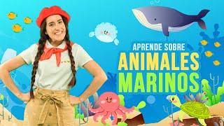  AVENTURAS SUBMARINAS con OLI | Aprende los ANIMALES MARINOS 