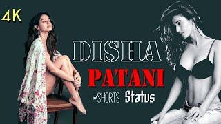 Disha patani hot #shorts video