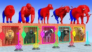 Long Slide Game With Elephant Gorilla Buffalo Hippopotamus Tiger 3d Animal Game Funny 3d Animals