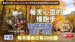 【CC字幕】深入思考並剪接強度情感的成功因素 - 賽斯工作坊 2024.12.22 #能量 #意識 #行動 #賽斯早期課 #賽斯資料 #道瑞資料