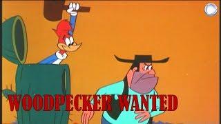 Woody Woodpecker in Woodpecker Wanted | A Walter Lantz Production