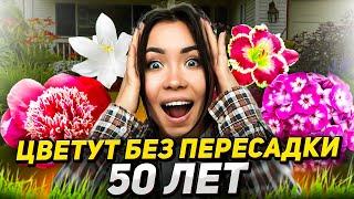 ДЕСЯТИЛЕТИЯМИ без пересадок: 15 долгоживущих цветов!