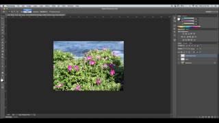 Photoshop Tutorial: Patch and Content-Aware Move tools