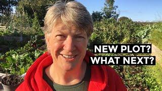 New Allotment Plot from bare soil to first harvests