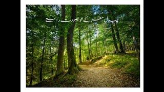 A VISIT TO HIKING TRAIL 5 ISLAMABAD/BEAUTIFULL HIKING TRAIL/DARA JANGLAN/MUST VISIT IN ISLAMABAD