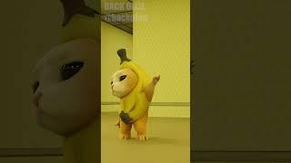 [SFM]New SCP detected.  #garrysmod  #3d  #bananacat #animation  #meme  #sfm #shorts