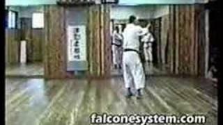 AN ICHI MIYAGI - SUPARINPE - FALCONE'S SYSTEM INTERNATIONAL