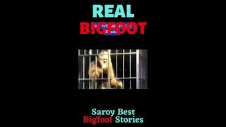 Captured Bigfoot In Cage(Prt2)!!! Is this Real??? #Bigfoots testimony