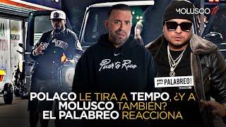 Polaco saca tiraera pa Tempo ¿ Y le tira a Molusco ?  #ElPalabreo reacciona