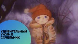 РОЖДЕСТВЕНСКЙ МУЛЬТФИЛЬМ УДИВИТЕЛЬНЫЙ УЖИН В СОЧЕЛЬНИК...️