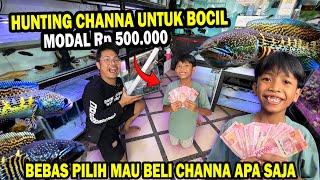 JEMPUT BOCIL!!! KASIH 500rb HUNTING IKAN CHANNA RANDOM SAMPAI HABIS