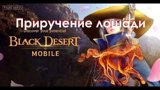 Black Desert Mobile - где поймать лошадь | как приручить лошадь