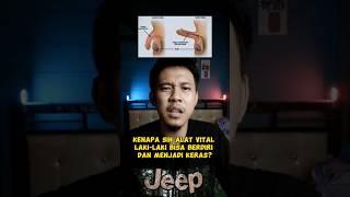 Kenapa alat vital laki-laki bisa keras? #shorts #short #shortvideo #penis #ilmiah #fakta