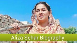 Aliza Sehar Wiki Biography Education Age Village Information