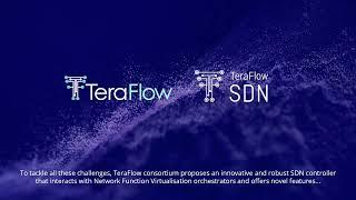 TeraFlow:  Secured autonomic traffic management for a Tera of SDN flows