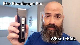 Taking a look at the Brio Beardscape Pro Beard Trimmer