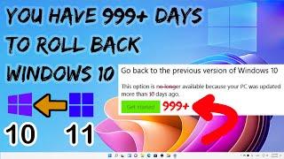 How Do I Go Back to Windows 10 from Windows 11 | Downgrade Windows 11 to 10 without Losing Data