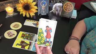 DAILY TAROT READING w/TARIA (WED) 18th SEPTEMBER 2019 "SPIRIT OF PERSEVERANCE"