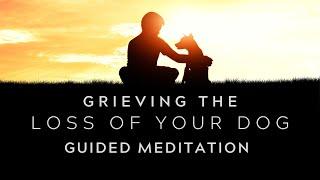 Uncover Healing through a 5-Minute Meditation for Loss of a Dog