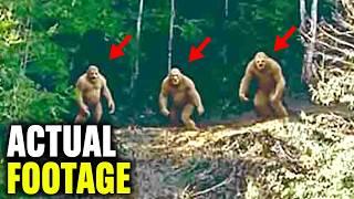 The Most Convincing Bigfoot Evidence Has Just Been Leaked!