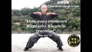 Hung Gar Movements #2 & Gam Bok Yin Thoughts. Hung Kuen Academy Hong Kong