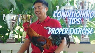 Conditioning: Tamang Ehersisyo Sa Ating Panglabang Manok  [ Light V.S Heavy Exercise ]