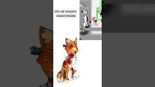 суть тренда показать свою ос в крови|| #котывоители #warriorcats #кв #кленогривка