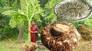 Farm Fresh OL KOCHU Pick Up & OL CHINGRI VAPE Recipe Cooking In Desi Village Style || bengali recipe