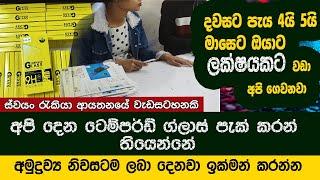 ටෙම්පර්ඩ් ග්ලාස් පැකින් ස්වයං රැකියා | swayan rakiya at home 2024 | Tempered Glass Packaging