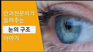 Structure of the eye - what is cornea? what is retina? I'll explain it briefly by pictures.