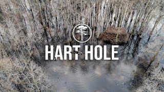 Duck Hunting- The Famous "Hart Hole"