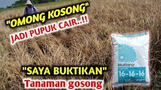 Rugi Tidak Nonton..!! Petani di bodohin Cara membuat pupuk NPK Cair