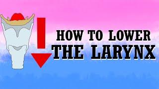How To Masculinize Your Voice (Transmasculine Voice) - Lowering The Larynx