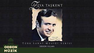 Ziya Taşkent - O Ağacın Altını Şimdi Anıyor musun (Official Audio)