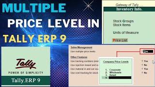 Multiple price level in tally ERP 9 !! Price list creation in Hindi.  #8