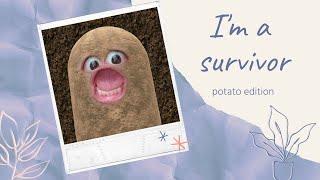 I'm a survivor! - potato edition