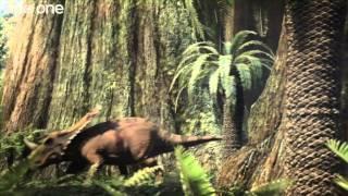 Tyrannosaur Rivalry - Planet Dinosaur - Episode 3 - BBC