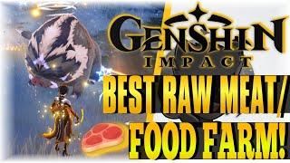 BEST RAW MEAT/ FOOD FARM!! | Genshin Impact | FARMING GUIDE