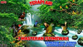 Terapi Air + Masteran Jitu | Gemercik Air Jernih Agar Burung Tidak Setres |MP3 #masterangemercikair