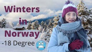 Winters In Norway