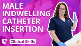 Indwelling Urinary Catheter Insertion on Male - Clinical Nursing Skills | @LevelUpRN