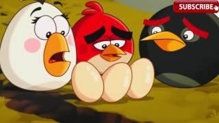 Angry Birds Toons S01E51 Chucked Out