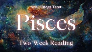 Pisces Two-Week Tarot Reading 12/22/24