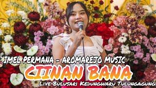 CIINAN BANA - IMEL PERMANA - AROMAREJO MUSIC - LIVE BULUSARI KEDUNGWARU TULUNGAGUNG