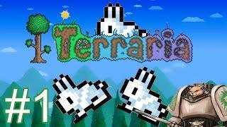 Let's Play Terraria 1.3 - Part 1 - Gameplay / Let's Play Introduction