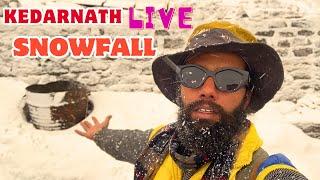 Kedarnath Live Snowfall 2024️ | Kedarnath Yatra Update 2024 | Kedarnath Yatra 2024 | Kedarnath Live