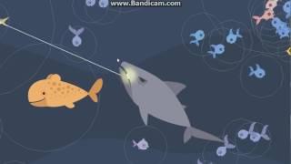 Cat Goes Fishing How to catch a shark (REALISM)