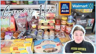 I HAD TO BUY A NEW MICROWAVE | 1-Week Grocery Haul & Meal Plan | ALDI & WALMART HAUL | OCTOBER 2024