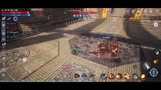 Lancer reduct build lvl 95 VS Lancer damage build lvl 90 | mir4