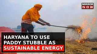 Haryana Government Frame New Paddy Stubble Management Policy, Farmers Refuses Govts Help | Top News